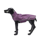 Pets-Safety SMASYS Store